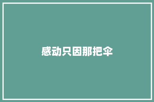 感动只因那把伞