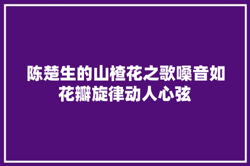 陈楚生的山楂花之歌嗓音如花瓣旋律动人心弦