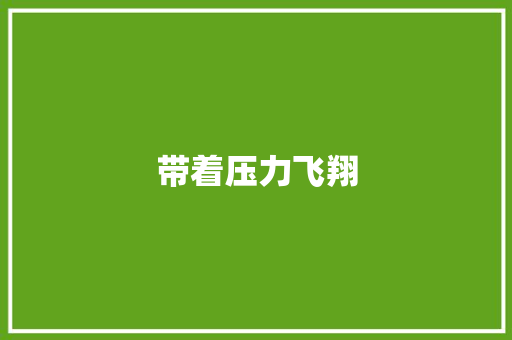 带着压力飞翔