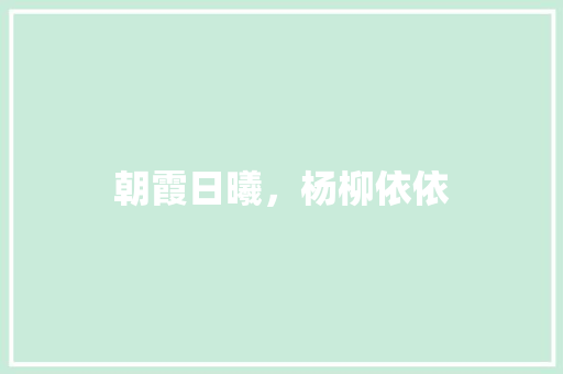 朝霞日曦，杨柳依依