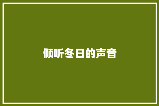 倾听冬日的声音