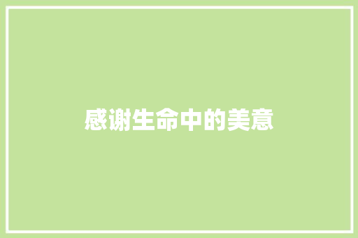 感谢生命中的美意