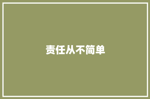 责任从不简单