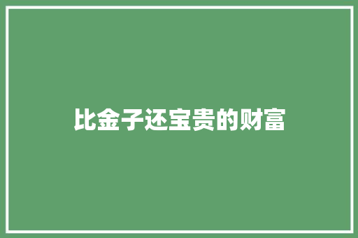 比金子还宝贵的财富