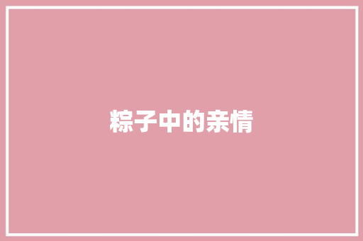粽子中的亲情