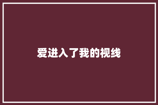 爱进入了我的视线