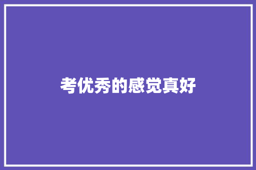 考优秀的感觉真好