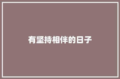 有坚持相伴的日子