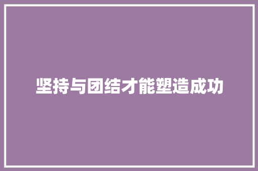 坚持与团结才能塑造成功