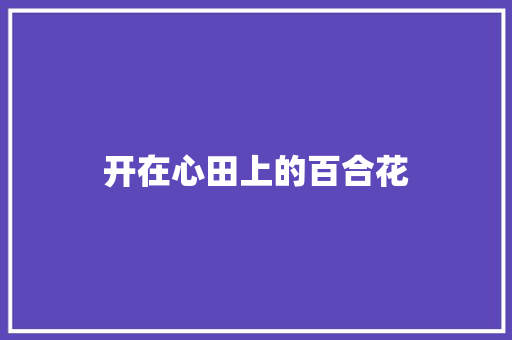 开在心田上的百合花