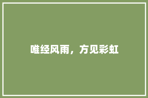 唯经风雨，方见彩虹