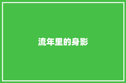 流年里的身影