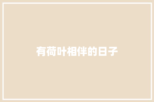有荷叶相伴的日子