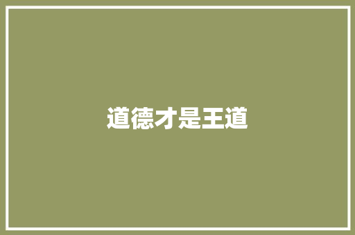 道德才是王道