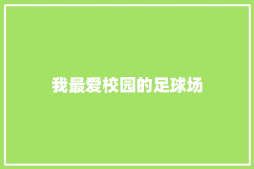 我最爱校园的足球场