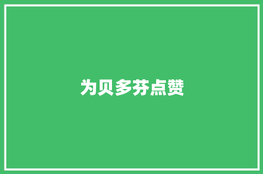 为贝多芬点赞