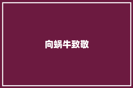 向蜗牛致敬