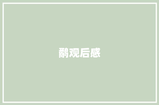 鹬观后感