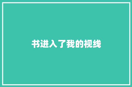 书进入了我的视线