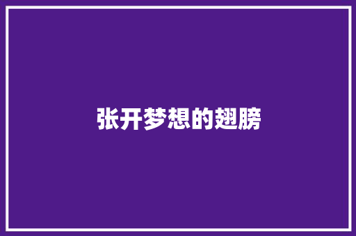 张开梦想的翅膀