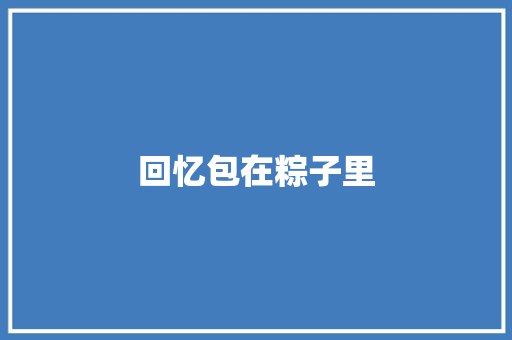 回忆包在粽子里