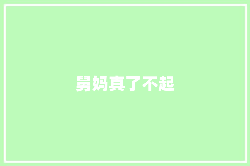 舅妈真了不起