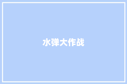 水弹大作战