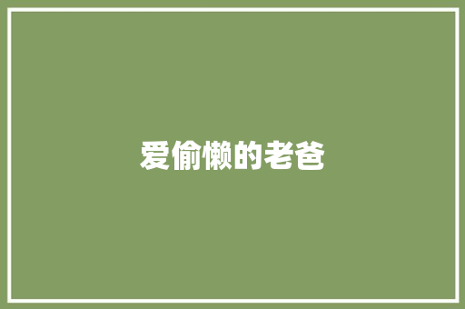 爱偷懒的老爸