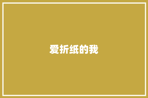 爱折纸的我