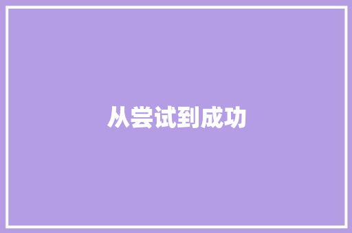 从尝试到成功
