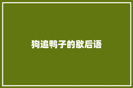 狗追鸭子的歇后语