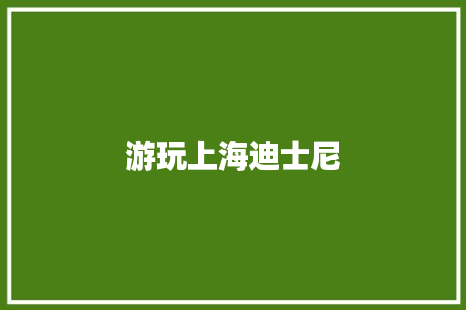 游玩上海迪士尼