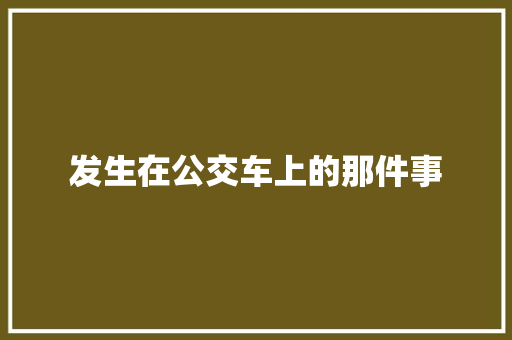 发生在公交车上的那件事