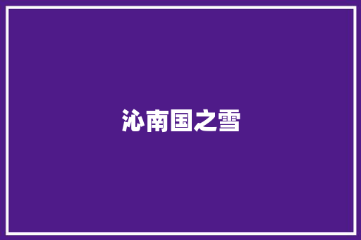 沁南国之雪