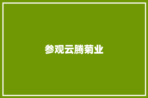 参观云腾菊业