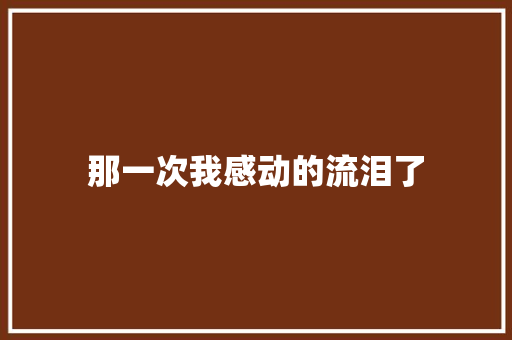 那一次我感动的流泪了
