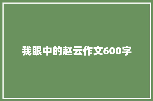 我眼中的赵云作文600字
