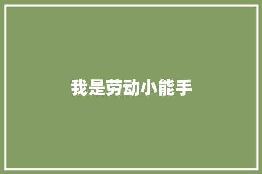 我是劳动小能手