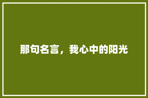 那句名言，我心中的阳光