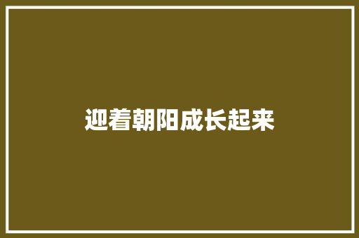 迎着朝阳成长起来