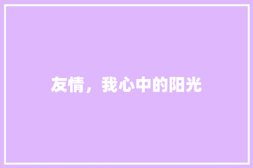 友情，我心中的阳光