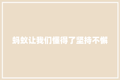 蚂蚁让我们懂得了坚持不懈