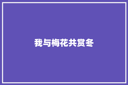 我与梅花共赏冬