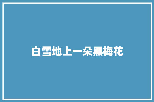 白雪地上一朵黑梅花