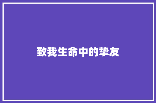 致我生命中的挚友