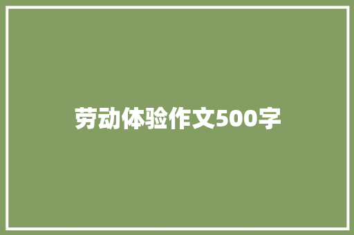 劳动体验作文500字