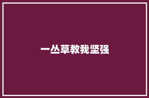 一丛草教我坚强