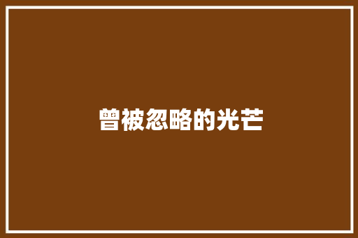 曾被忽略的光芒