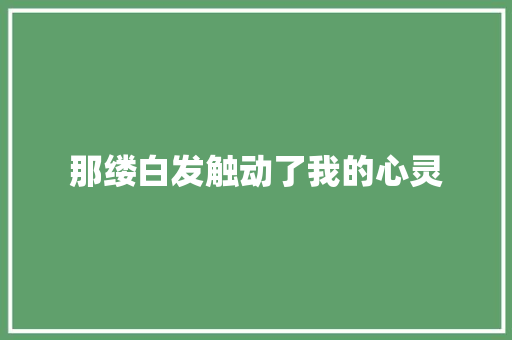 那缕白发触动了我的心灵