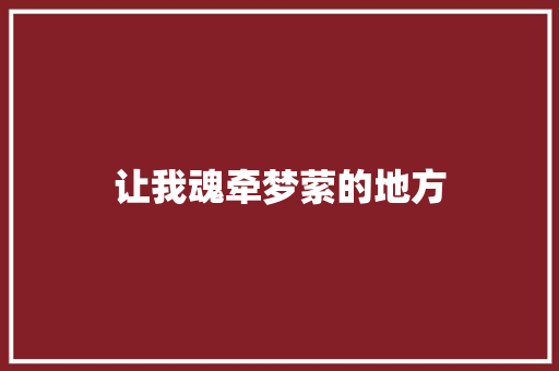 让我魂牵梦萦的地方